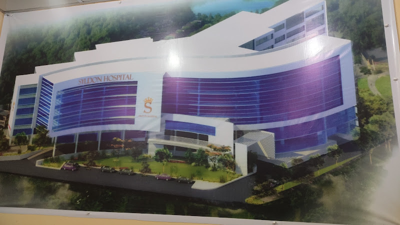 Syldon hospital